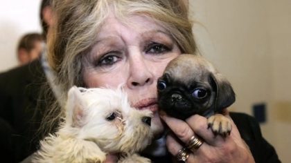 Brigitte Bardot : son ultime lutte révélée - Que souhaite-t-elle avant de dire adieu ?