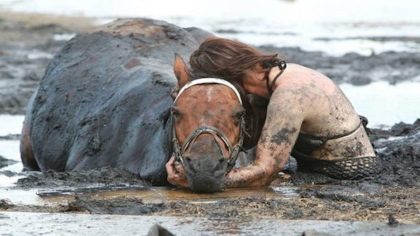 Pendant 3 heures, une femme désespérée tient son cheval pour qu'il ne se noie pas dans la boue, ils parviennent à le sauver