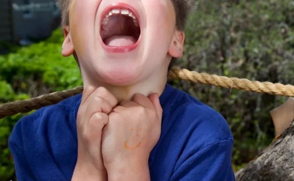 Une mère voit des enfants avec une petite « boule de poils » au parc – elle regarde de plus près et se rend immédiatement compte du grave danger