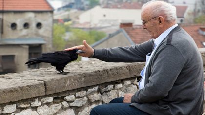 Un homme nourrit un oiseau au quotidien : un an plus tard, le corbeau revient avec une incroyable révélation