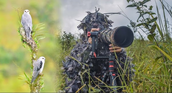 Elle voulait prendre une photo d’un oiseau mais s’est rendu compte de sa terrible erreur