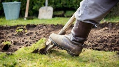 En creusant dans son jardin, un homme a fait une découverte inattendue