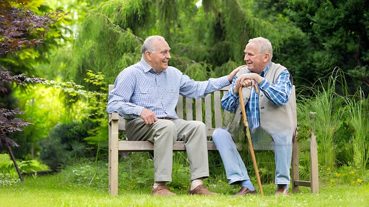 Humour décalé de vieux sages sur un banc