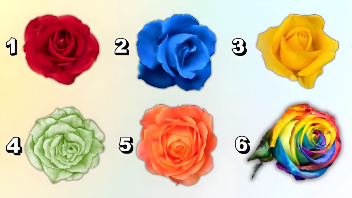 La couleur rose que vous choisissez révèle ce que les autres aiment le plus chez vous