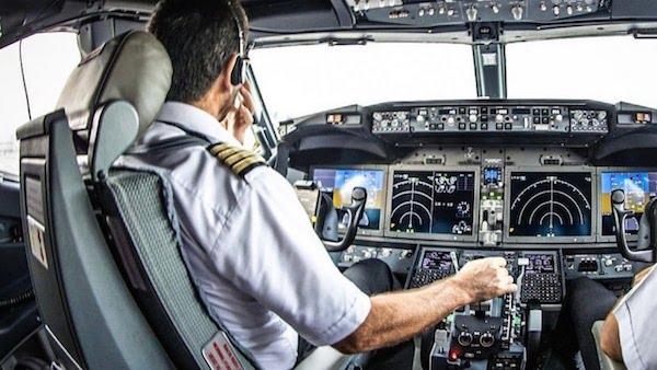 Lorsque le pilote a compris pourquoi les oiseaux volaient à côté de l'avion, il a commencé à créer