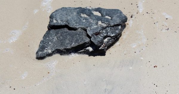 Un couple en balade découvre un trésor inattendu sur la plage