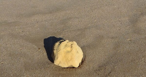 en balade découvre un trésor inattendu sur la plage