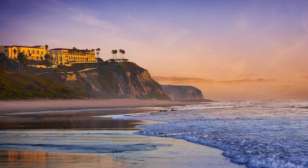 Une créature « incroyablement étrange » apparait sur une plage du sud de la Californie