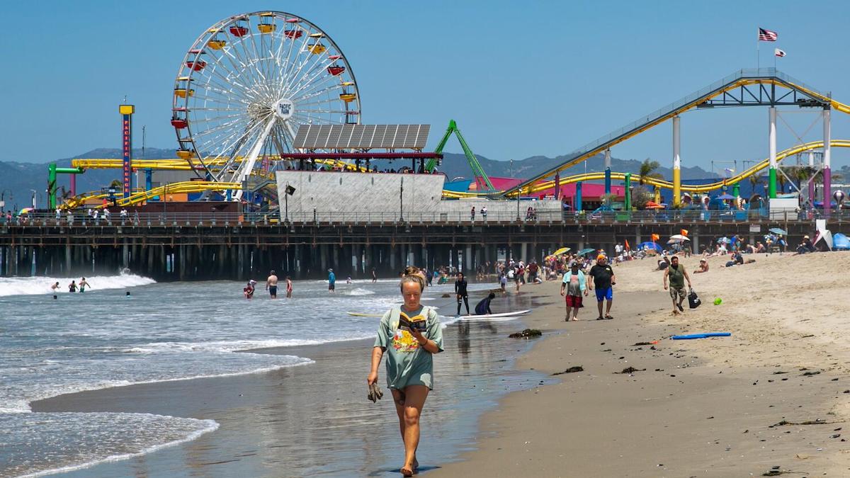 Une créature « incroyablement étrange » apparait sur une plage du sud de la Californie