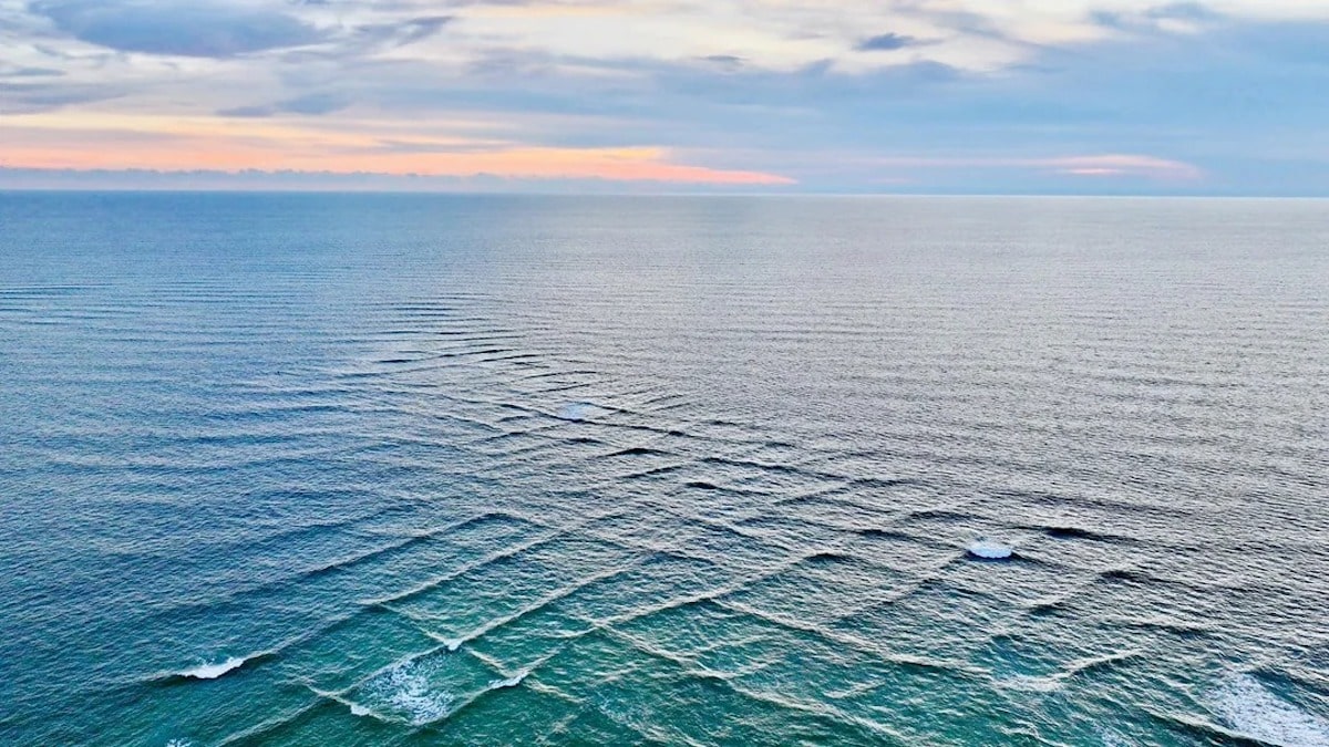 Alerte plages : découvrez le danger surprenant des vagues carrées pour les nageurs !