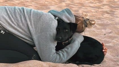 Amalka, saine et sauve : la chienne disparue à l'aéroport de Paris-Charles de Gaulle retrouve enfin sa propriétaire