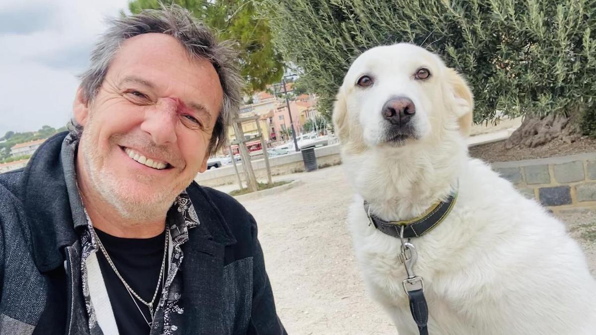 Jean-Luc Reichmann en larmes : il rend hommage à sa chienne Donna disparue avec des mots touchants