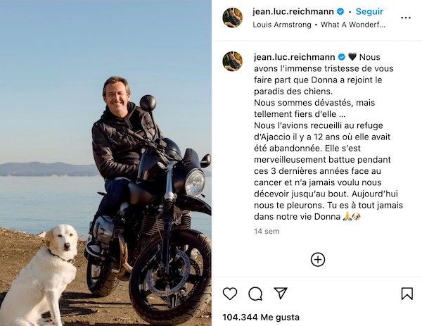 Jean-Luc Reichmann en larmes : il rend hommage à sa chienne Donna disparue avec des mots touchants