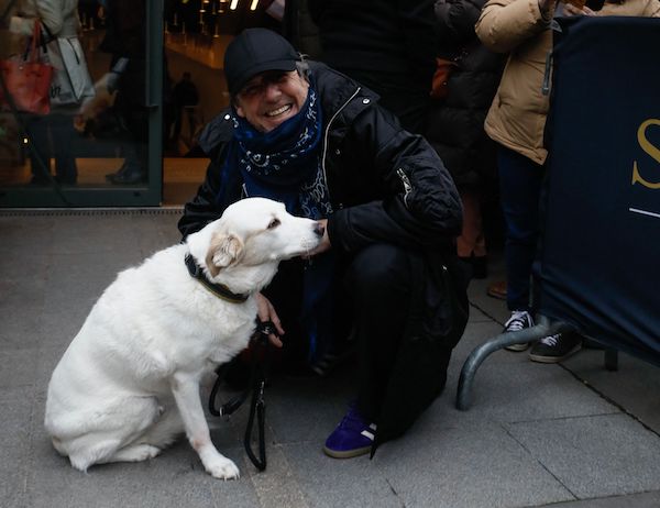 Jean-Luc Reichmann en larmes : il rend hommage à sa chienne Donna disparue avec des mots touchants