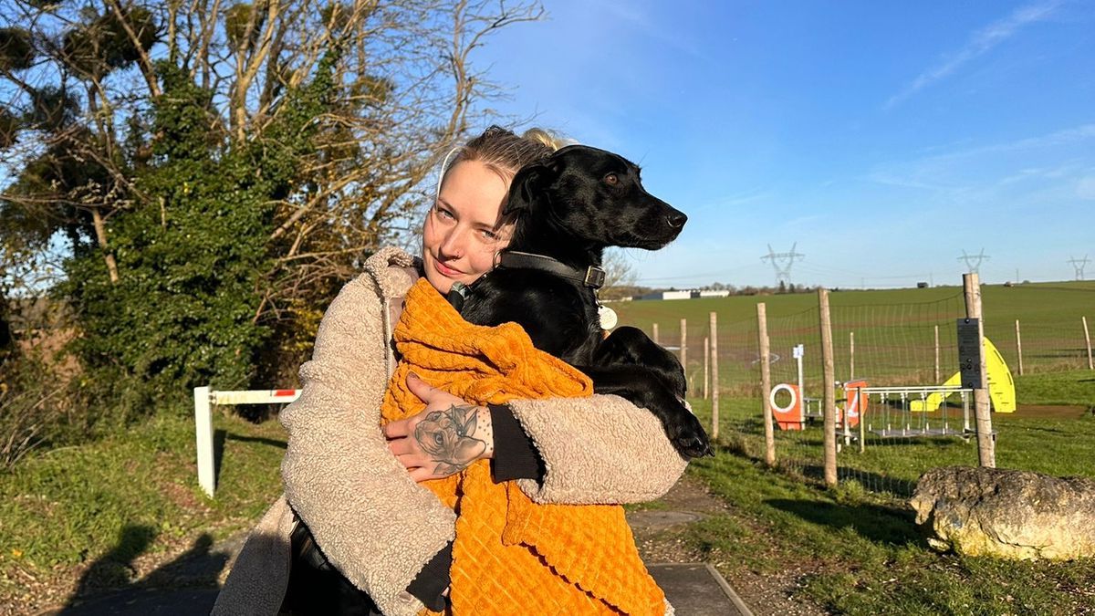 Amalka, saine et sauve : la chienne disparue à l'aéroport de Paris-Charles de Gaulle retrouve enfin sa propriétaire