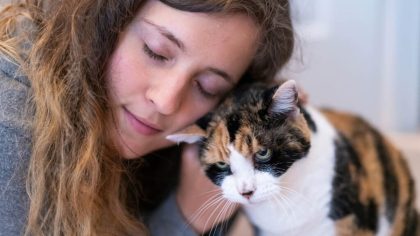 Ce que cela signifie lorsque mon chat se frotte contre moi: tout savoir sur le comportement félin