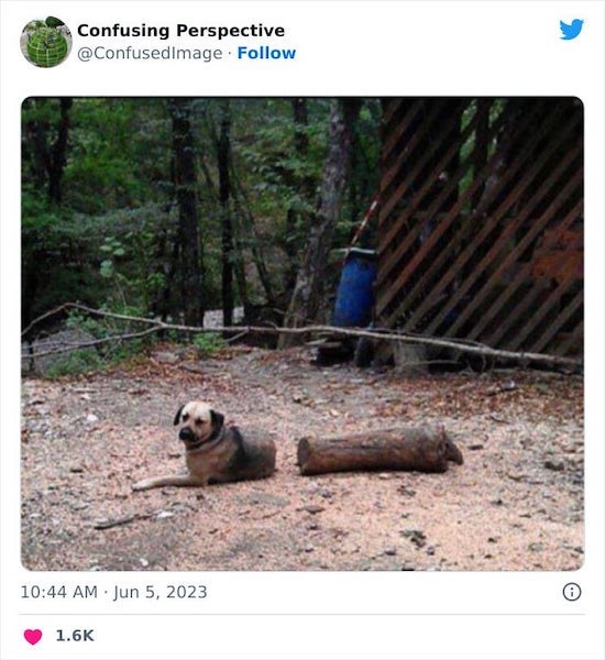 Des photographies qu’il faudra regarder à deux fois pour comprendre ce qui se passe