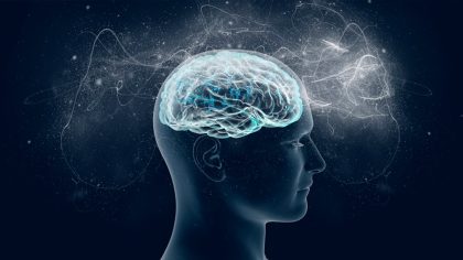 Comment redémarrer votre cerveau et continuer à apprendre de nouvelles choses, révèlent les scientifiques