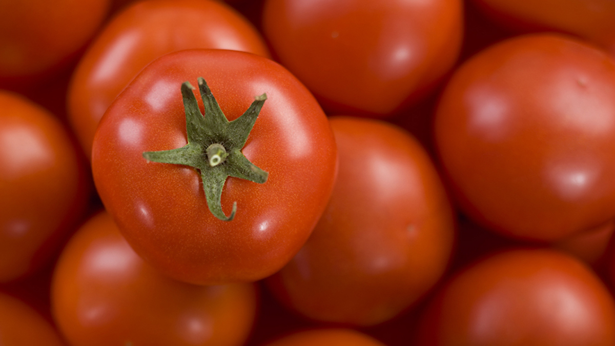 Jetez vos tomates immédiatement si vous voyez cela : c'est dangereux